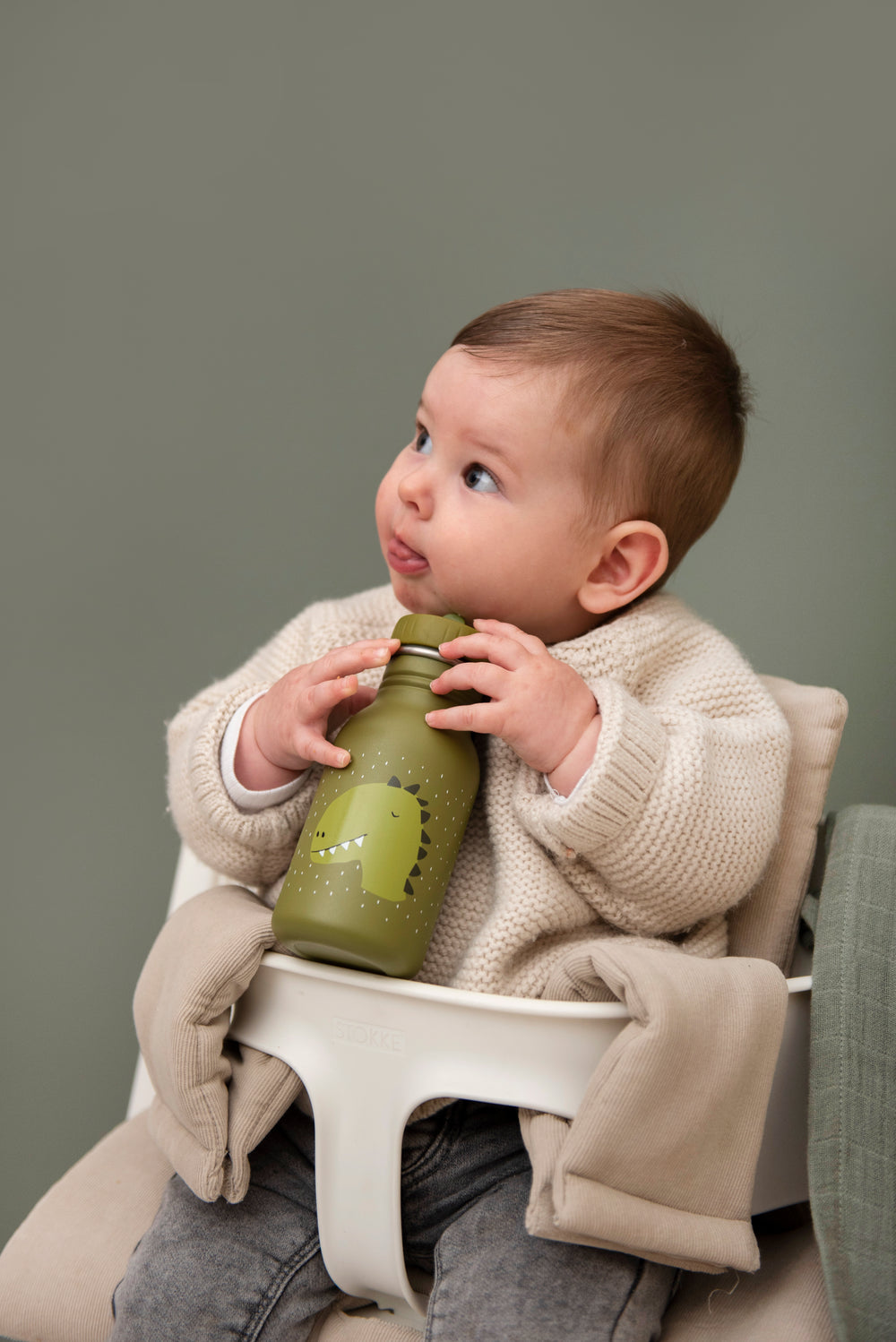 Trinkflasche Dino "Mr. Dino" 350ml, 500ml I Trixie