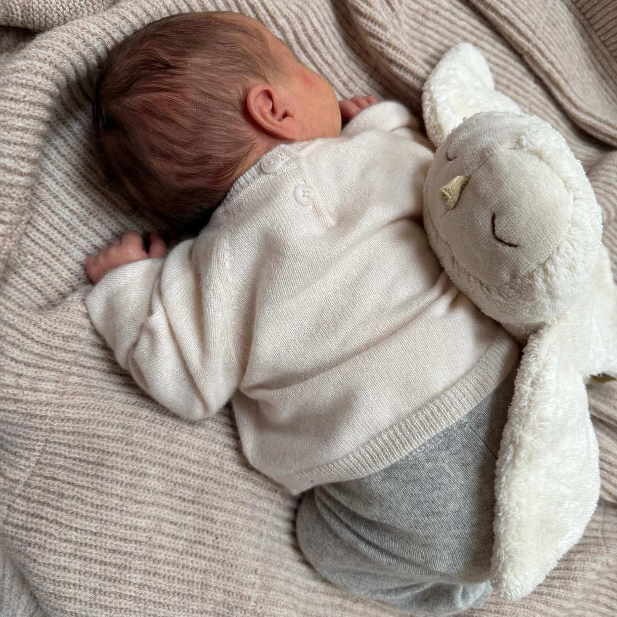 Kuscheltier und Wärmekissen kleine Schneeule I Senger Naturwelt
